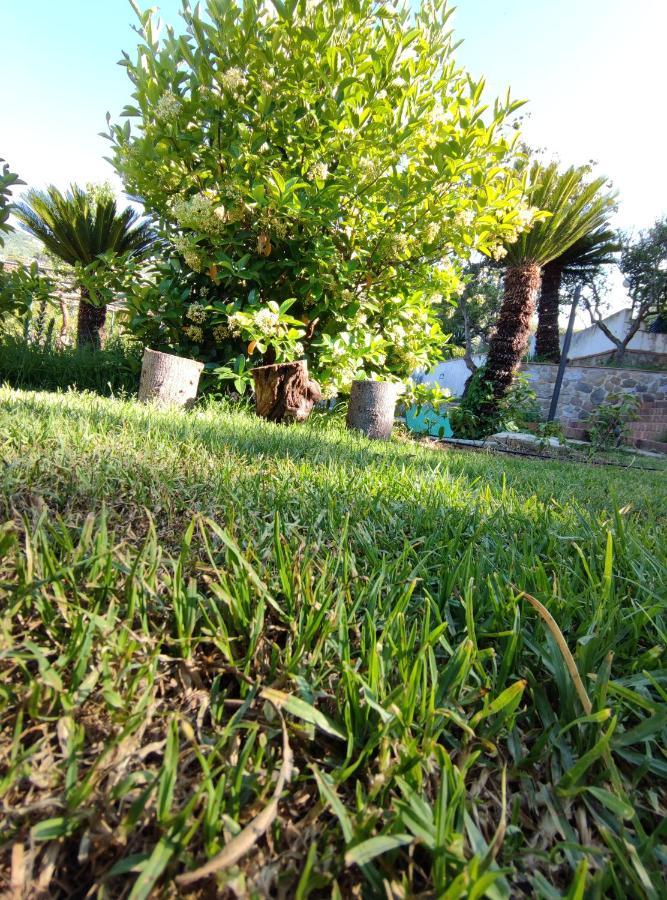 Villa Martino Apartments Cefalu Ngoại thất bức ảnh